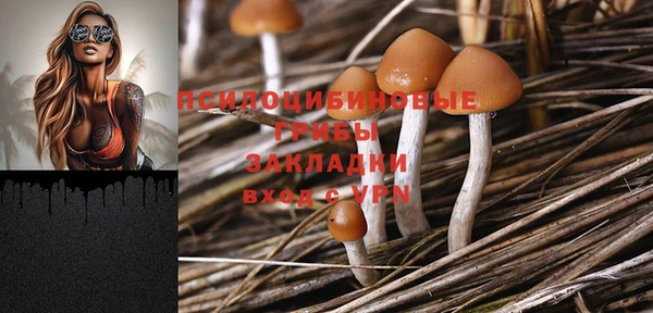 меф Армянск